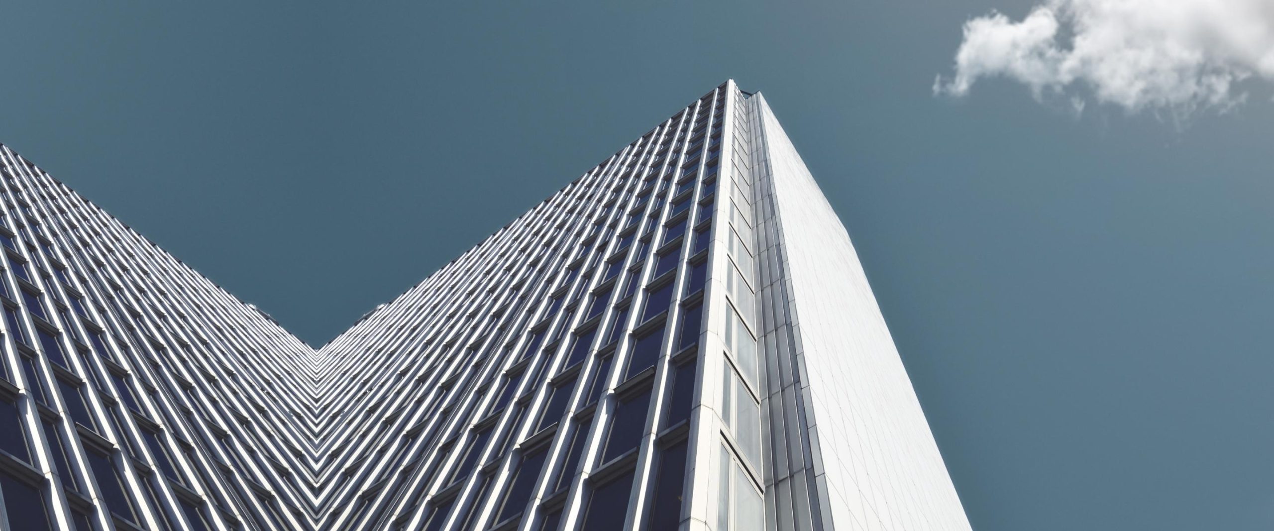 CBD Business Support Services