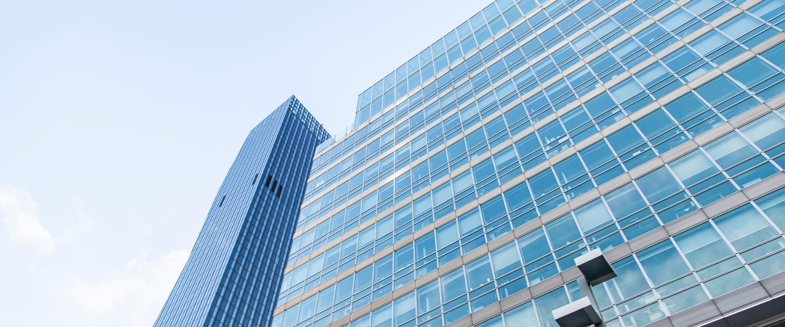 About CBD Corporate Services