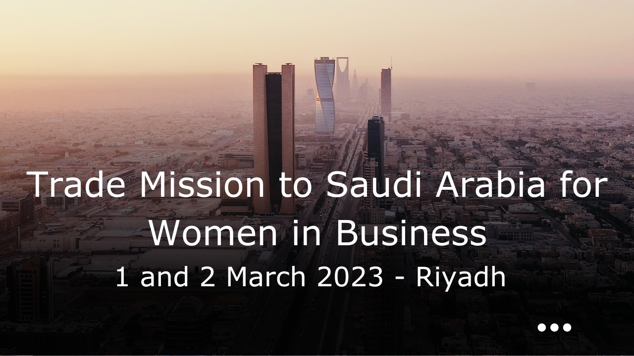 KSA Company formation, saudi company setup, saudi llc