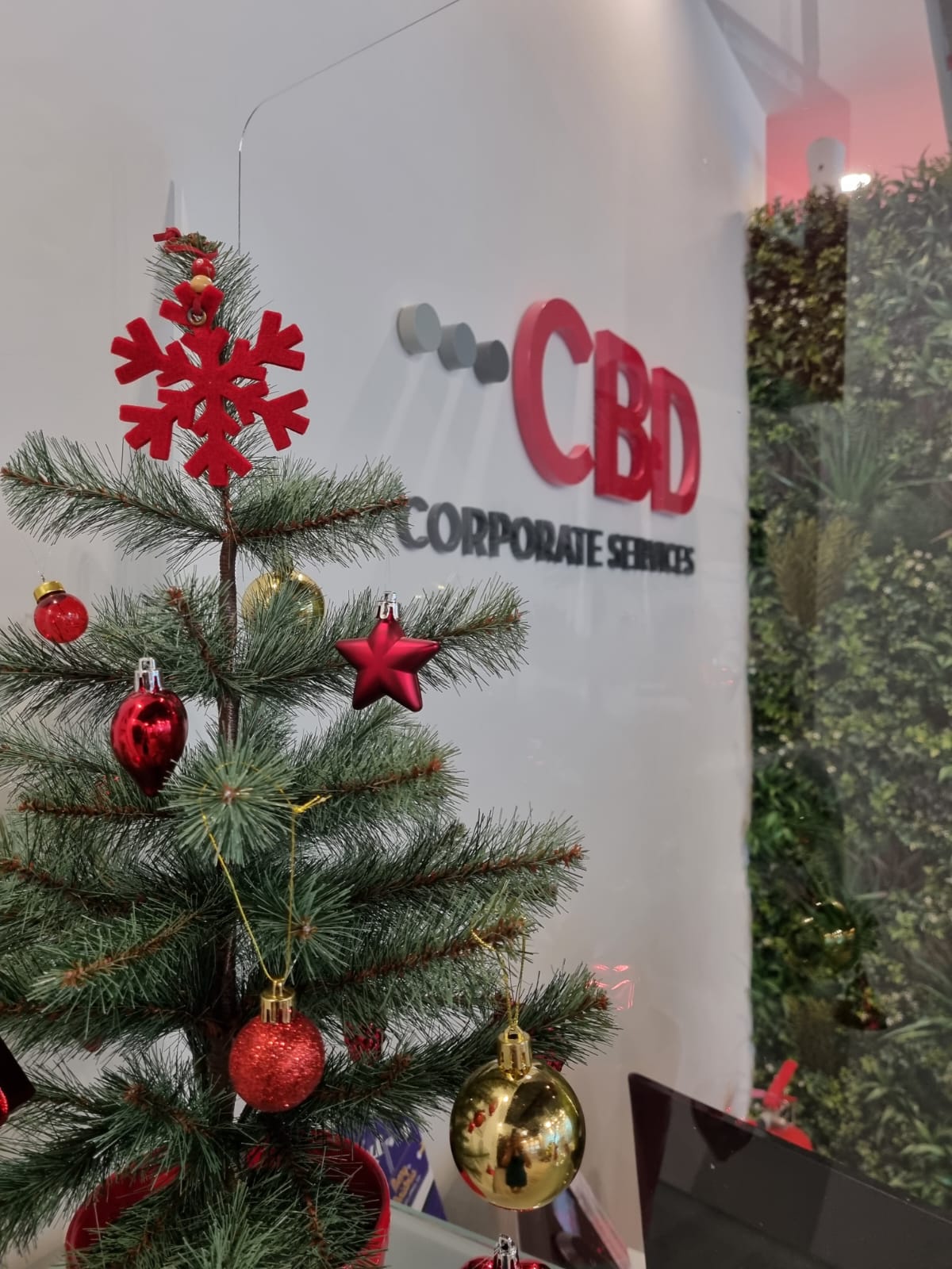 CBD Staff Christmas 2022