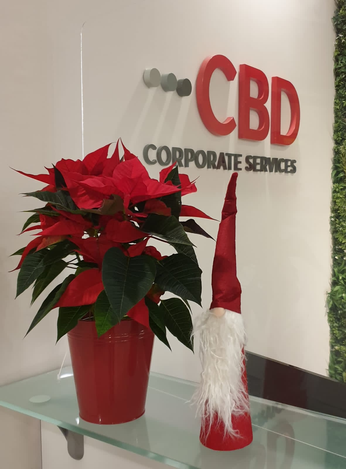CBD Christmas 2022