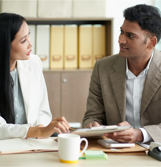 Audit Advisory Services